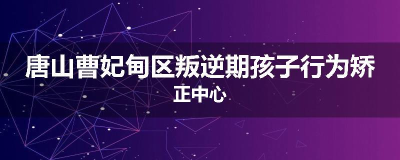 唐山曹妃甸区叛逆期孩子行为矫正中心