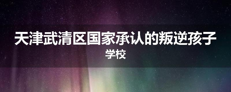 天津武清区国家承认的叛逆孩子学校