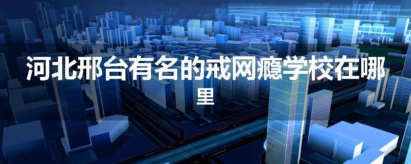 河北邢台有名的戒网瘾学校在哪里