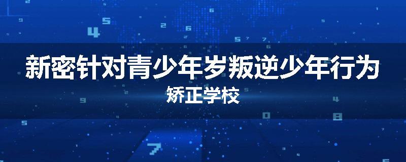 新密针对青少年岁叛逆少年行为矫正学校