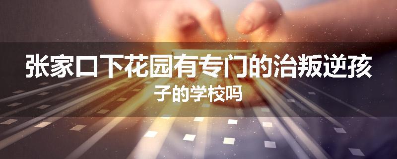 张家口下花园有专门的治叛逆孩子的学校吗