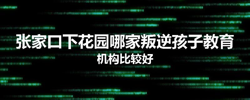 张家口下花园哪家叛逆孩子教育机构比较好