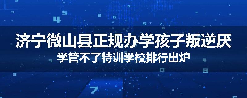 济宁微山县正规办学孩子叛逆厌学管不了特训学校排行出炉