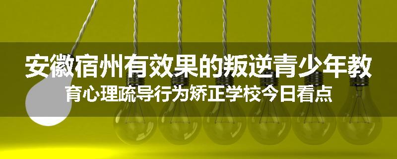 安徽宿州有效果的叛逆青少年教育心理疏导行为矫正学校今日看点