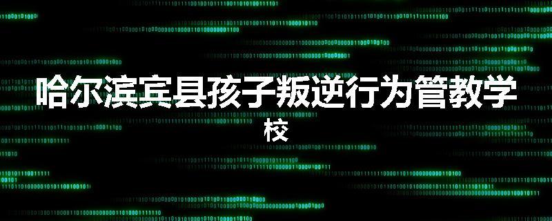 哈尔滨宾县孩子叛逆行为管教学校