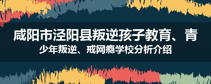 咸阳市泾阳县叛逆孩子教育、青少年叛逆、戒网瘾学校分析介绍