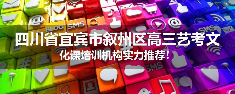四川省宜宾市叙州区高三艺考文化课培训机构实力推荐！