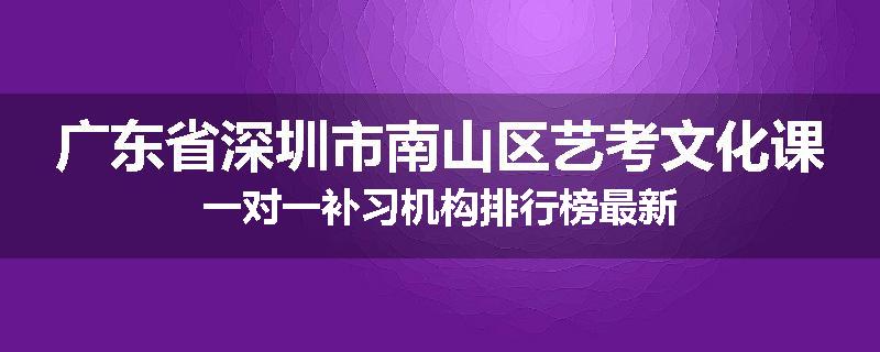 广东省深圳市南山区艺考文化课一对一补习机构排行榜最新