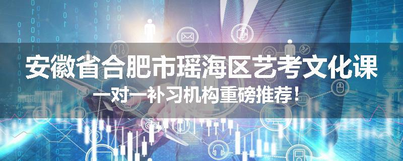 安徽省合肥市瑶海区艺考文化课一对一补习机构重磅推荐！