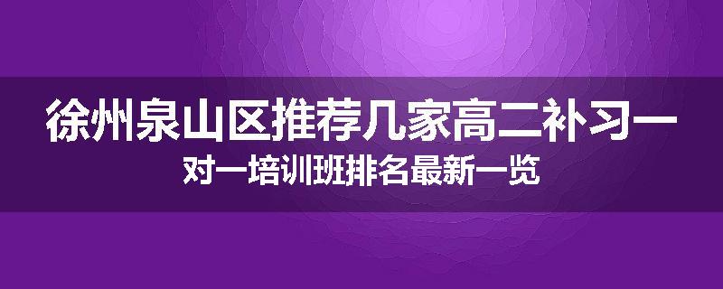 徐州泉山区推荐几家高二补习一对一培训班排名最新一览