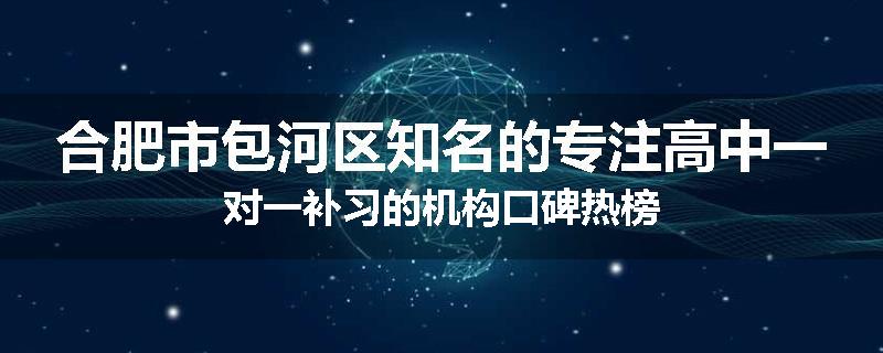 合肥市包河区知名的专注高中一对一补习的机构口碑热榜