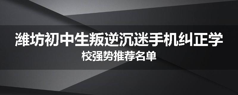 潍坊初中生叛逆沉迷手机纠正学校强势推荐名单