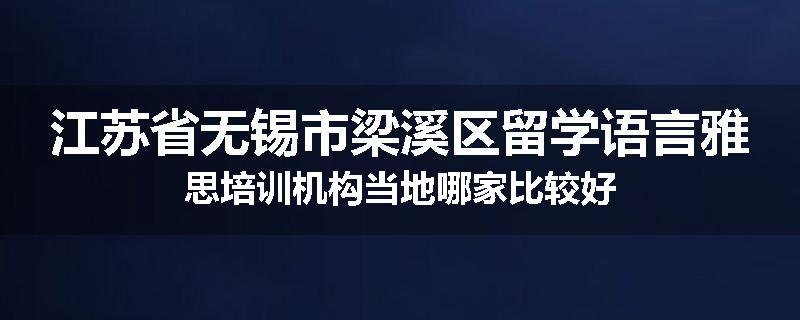 江苏省无锡市梁溪区留学语言雅思培训机构当地哪家比较好
