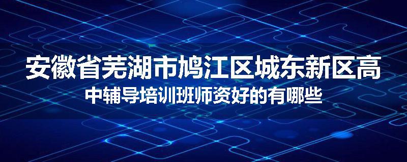 安徽省芜湖市鸠江区城东新区高中辅导培训班师资好的有哪些