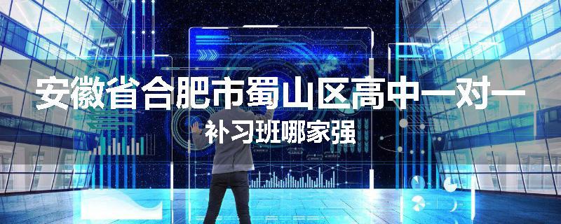 安徽省合肥市蜀山区高中一对一补习班哪家强