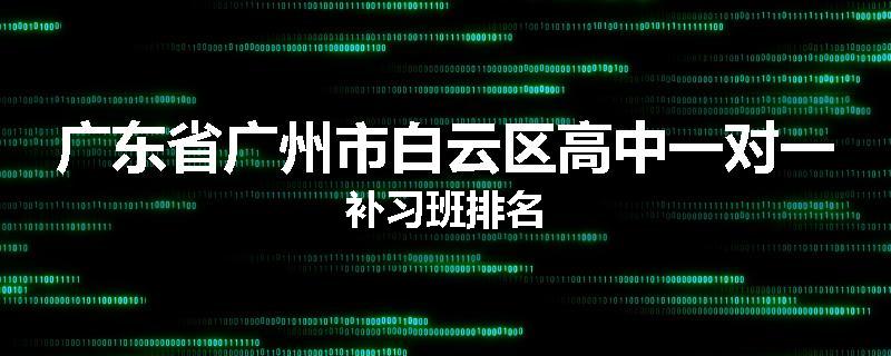 广东省广州市白云区高中一对一补习班排名
