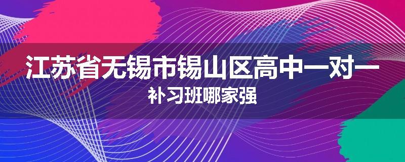 江苏省无锡市锡山区高中一对一补习班哪家强
