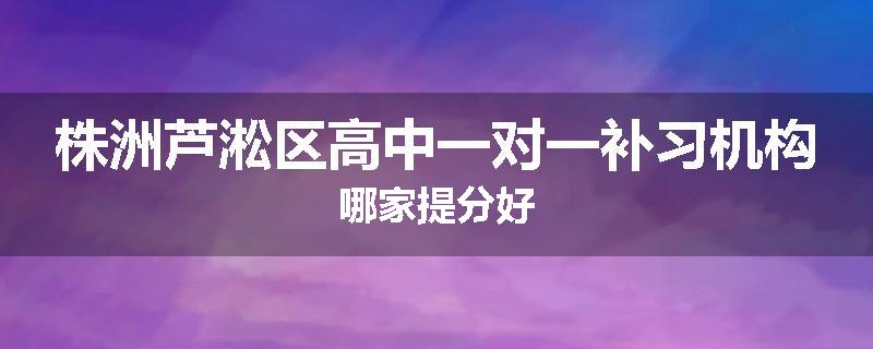 株洲芦淞区高中一对一补习机构哪家提分好