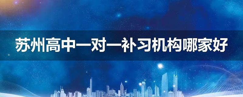 苏州高中一对一补习机构哪家好
