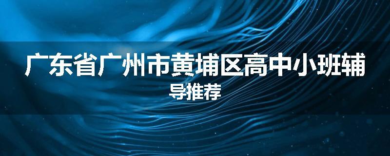 广东省广州市黄埔区高中小班辅导推荐