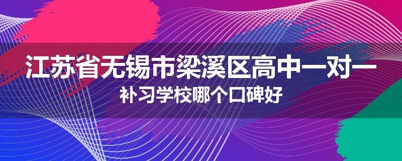 江苏省无锡市梁溪区高中一对一补习学校哪个口碑好