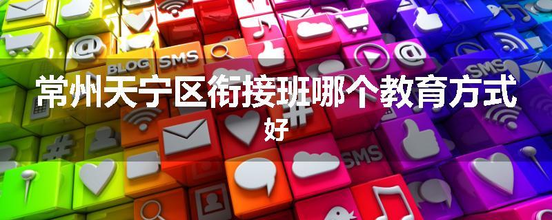 常州天宁区衔接班哪个教育方式好