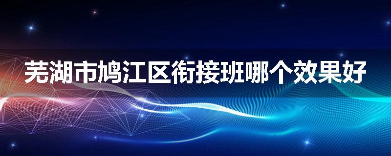 芜湖市鸠江区衔接班哪个效果好