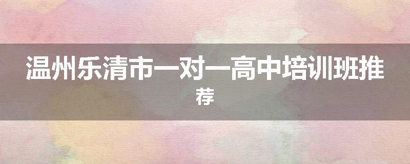 温州乐清市一对一高中培训班推荐
