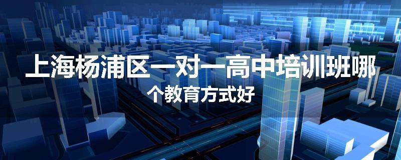 上海杨浦区一对一高中培训班哪个教育方式好