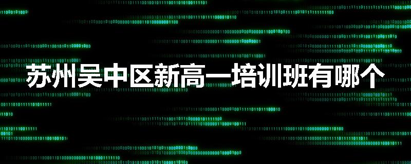 苏州吴中区新高一培训班有哪个