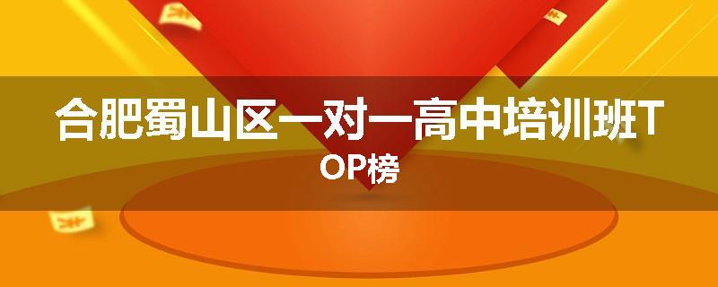 合肥蜀山区一对一高中培训班TOP榜