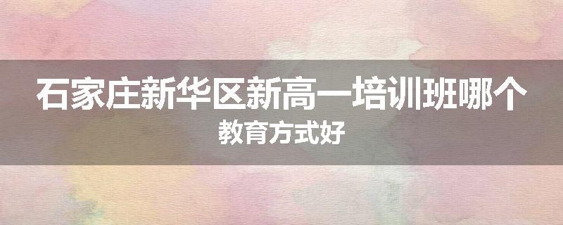 石家庄新华区新高一培训班哪个教育方式好