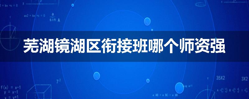 芜湖镜湖区衔接班哪个师资强