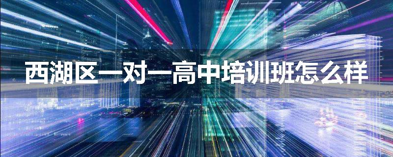 西湖区一对一高中培训班怎么样