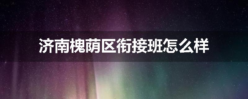 济南槐荫区衔接班怎么样