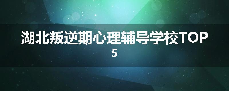 湖北叛逆期心理辅导学校TOP5