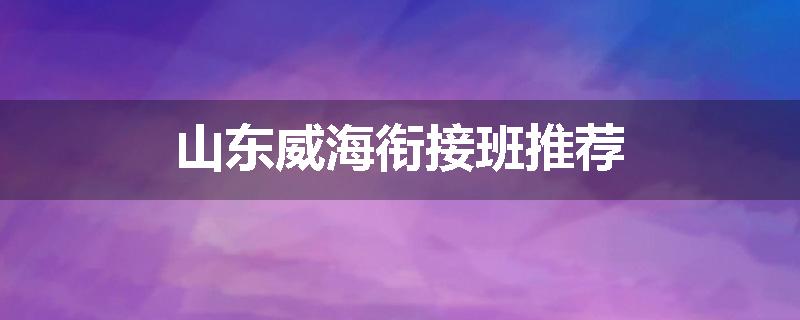 山东威海衔接班推荐