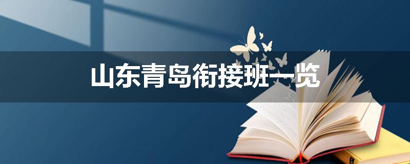 山东青岛衔接班一览