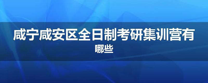 咸宁咸安区全日制考研集训营有哪些