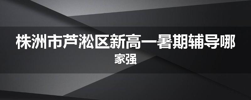 株洲市芦淞区新高一暑期辅导哪家强