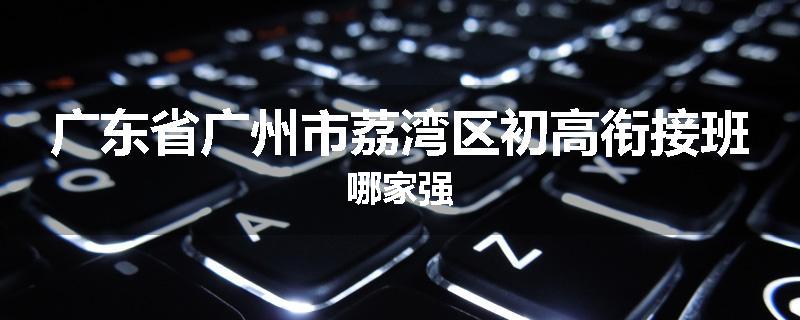 广东省广州市荔湾区初高衔接班哪家强