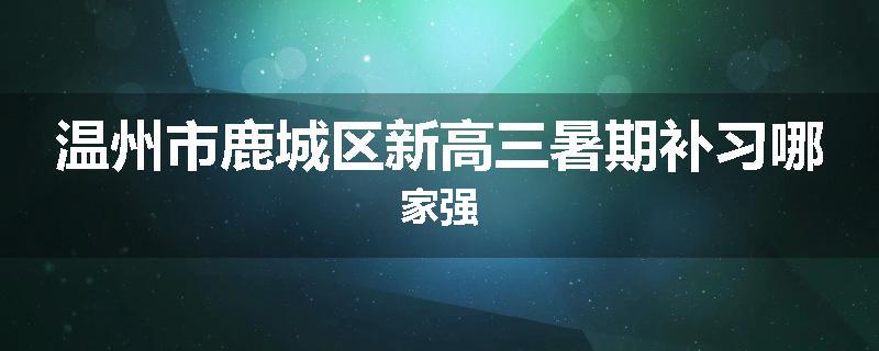 温州市鹿城区新高三暑期补习哪家强
