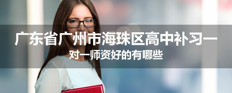 广东省广州市海珠区高中补习一对一师资好的有哪些
