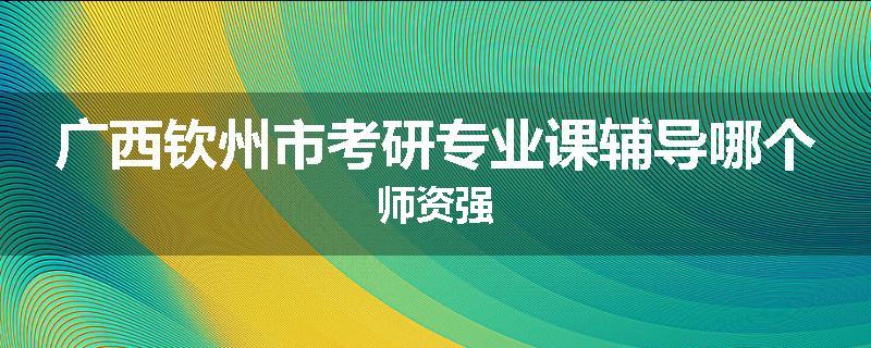 广西钦州市考研专业课辅导哪个师资强