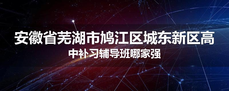 安徽省芜湖市鸠江区城东新区高中补习辅导班哪家强