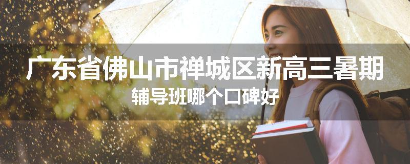 广东省佛山市禅城区新高三暑期辅导班哪个口碑好