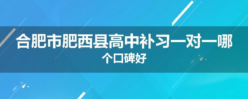 合肥市肥西县高中补习一对一哪个口碑好