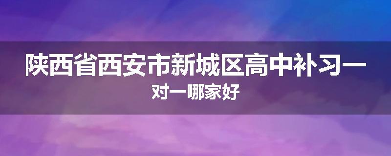 陕西省西安市新城区高中补习一对一哪家好