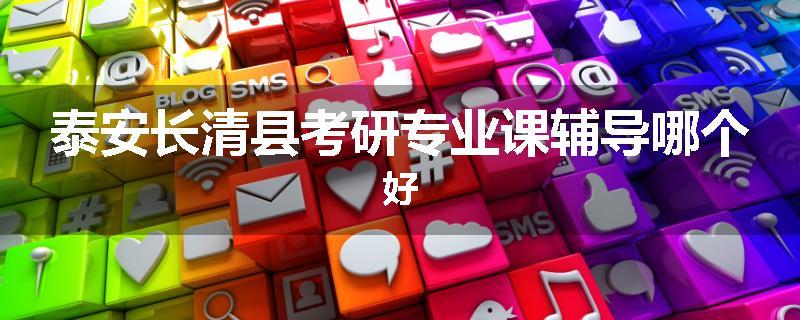 泰安长清县考研专业课辅导哪个好