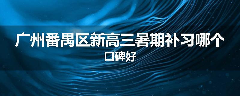 广州番禺区新高三暑期补习哪个口碑好